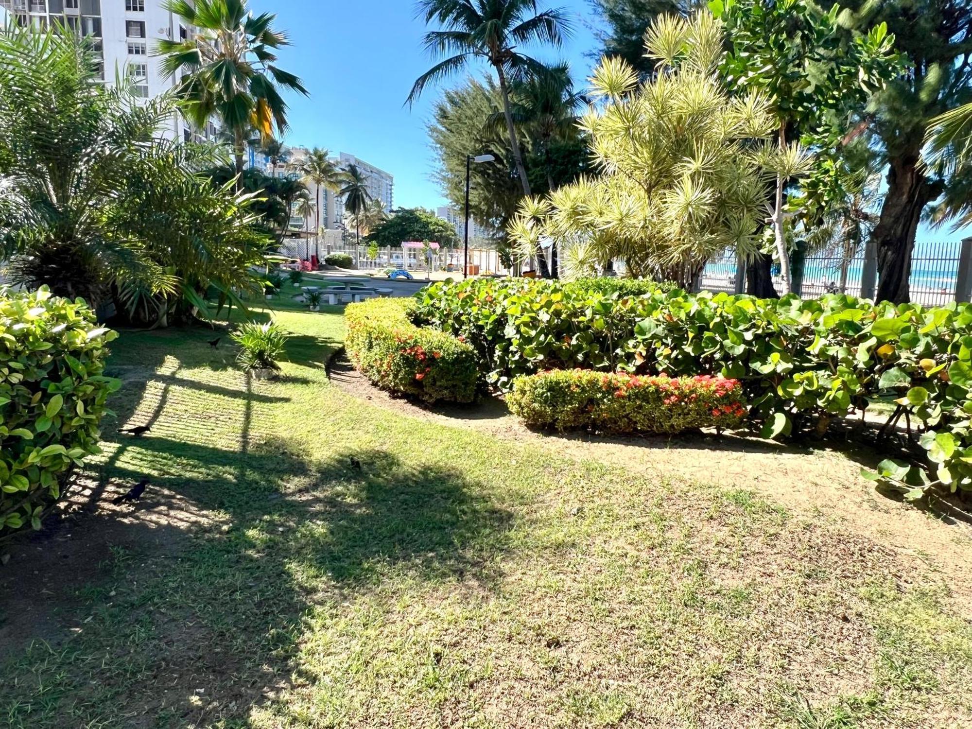 Ocean View Apt On Isla Verde In A 14Th Floor San Juan Exteriér fotografie
